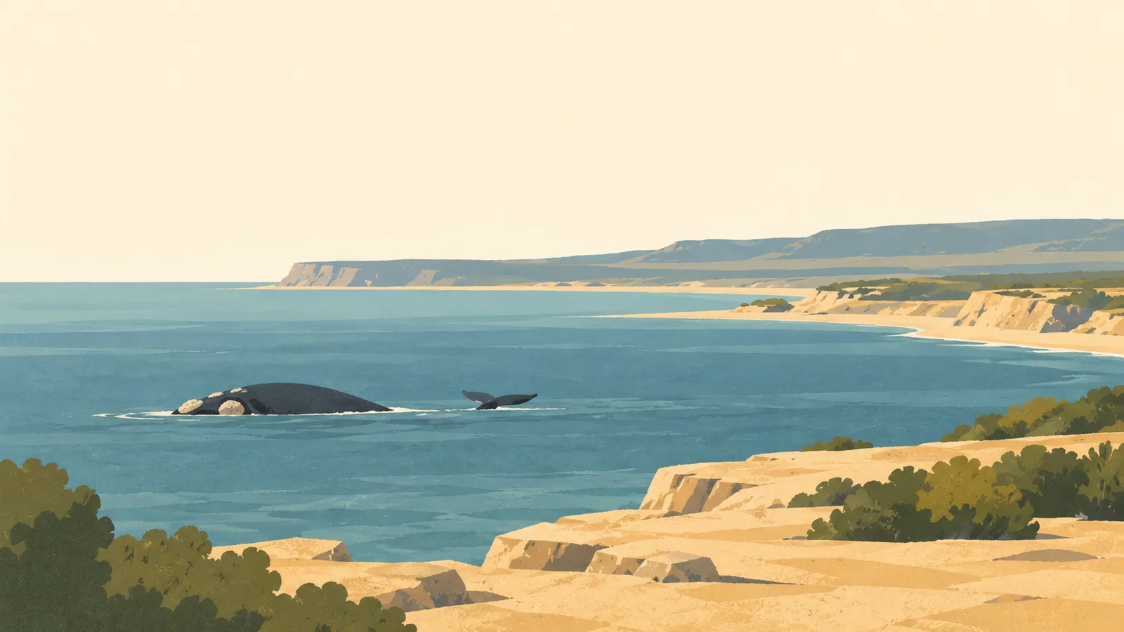 Flat gouache illustration of Puerto Madryn: A southern right whale's curved back and small tail fluke offshore at Península Valdés, sandy cliff ledge in the foreground and quiet dusty-blue gulf.