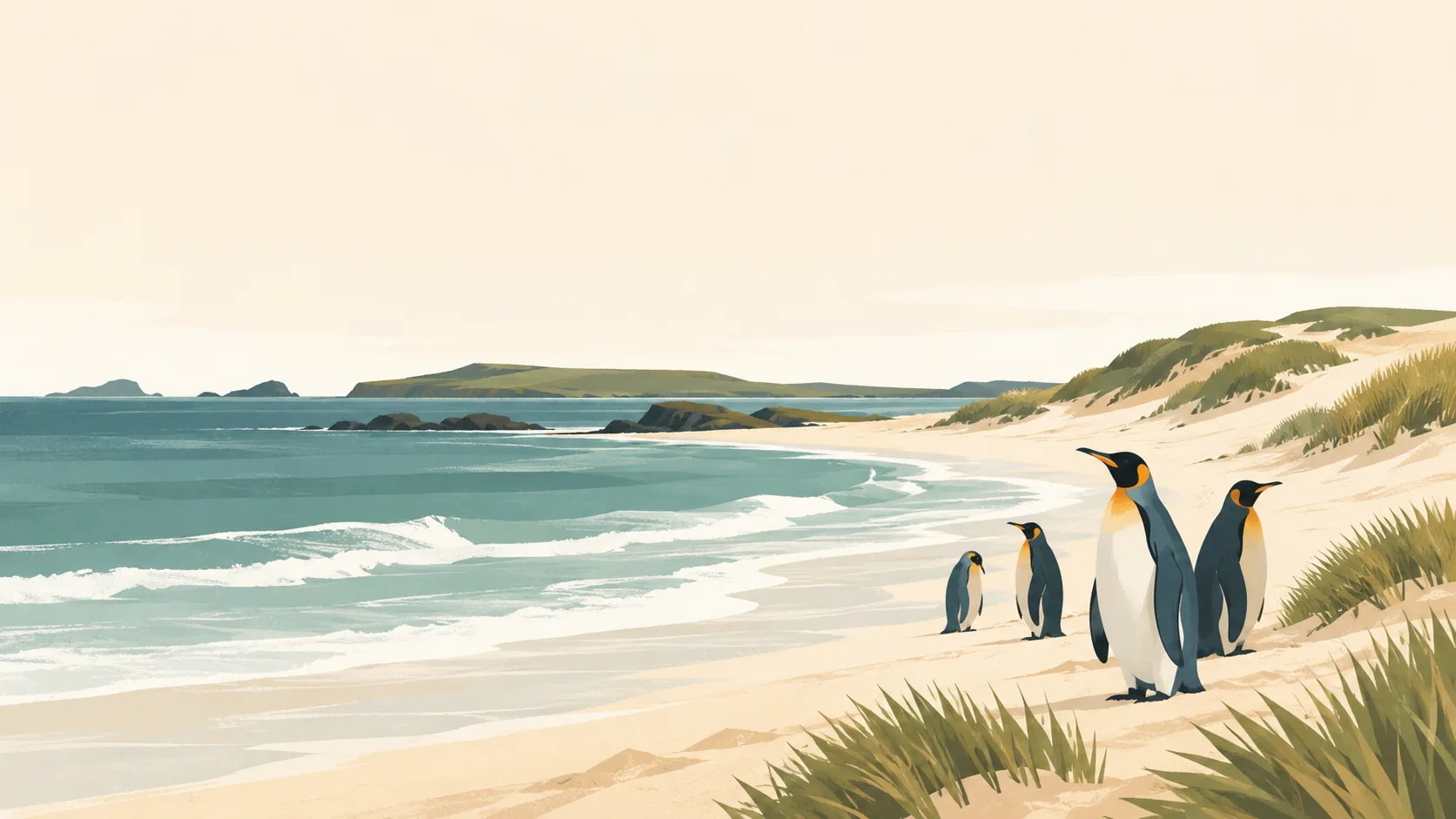 Editorial illustration of The Falkland Islands' Volunteer Point: a small group of king penguins on pale sand beside low tussock-grass dunes and a quiet grey-teal South Atlantic sea.